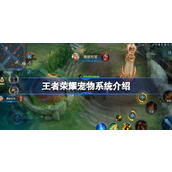 王者荣耀宠物系统怎么设置
