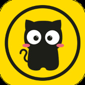 猫咪段子手机版