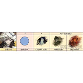 重返未来1999伊索尔德怎样