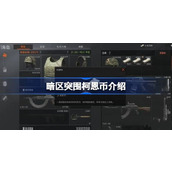 暗区突围柯恩币介绍