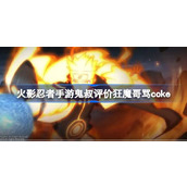 火影忍者手游鬼叔评价狂魔哥骂coke