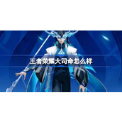 王者荣耀大司命怎么样