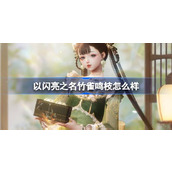 以闪亮之名竹雀鸣枝怎么样