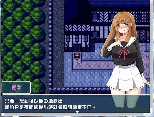 银魔的盛宴与圣女的法悦游戏下载