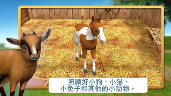 宠物世界安装包