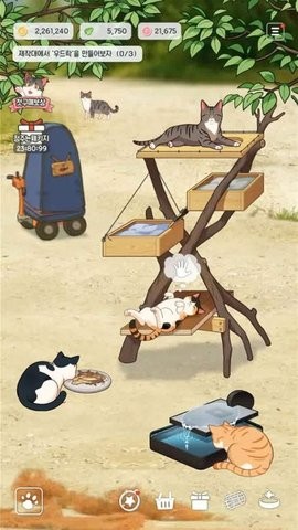 渔场猫咪游戏下载