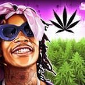 草药农场安装