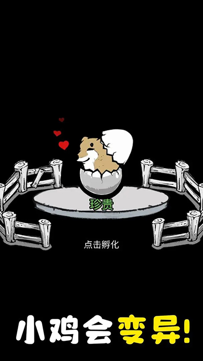 养鸡时长两年半（下载）