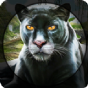 野生猎人与森林射击游戏安装