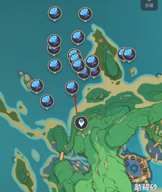 海灵芝3_副本.jpg