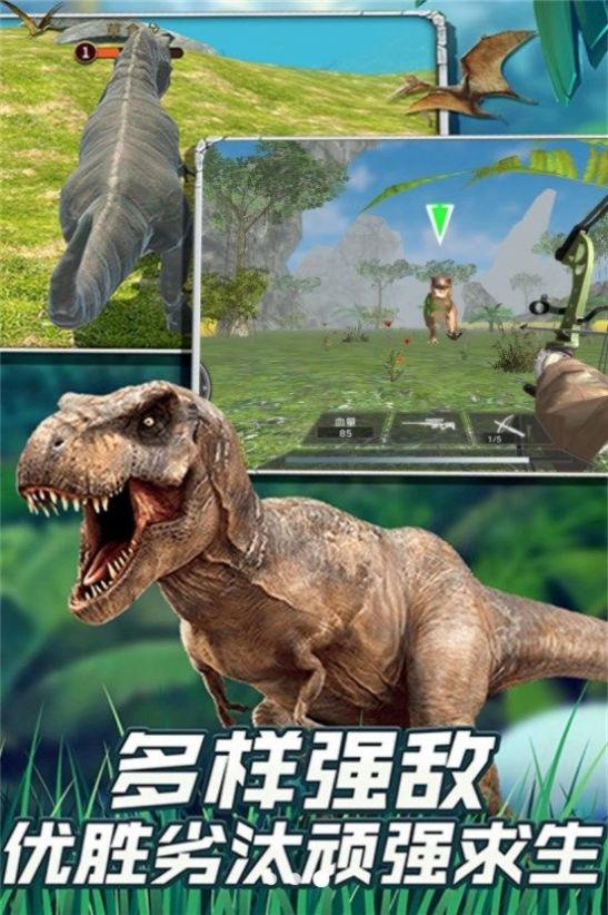 恐龙大陆深入探秘安装包