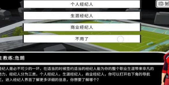 职业足球生涯游戏安装
