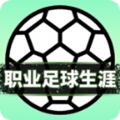 职业足球生涯游戏安装