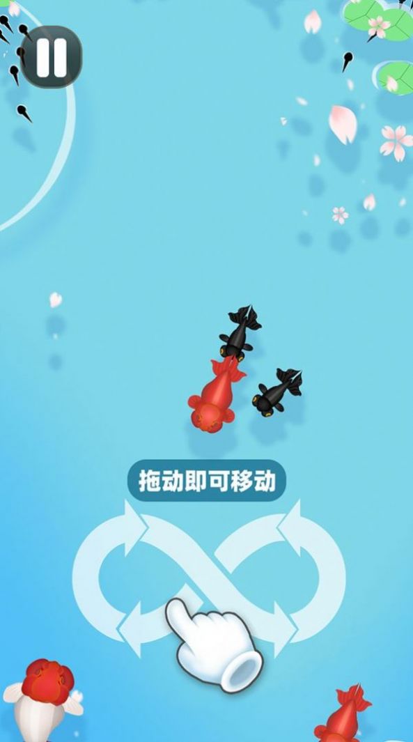 合成大锦鲤安卓下载