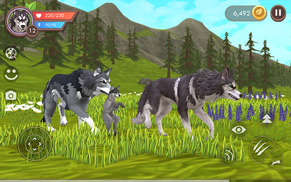 WildCraft下载