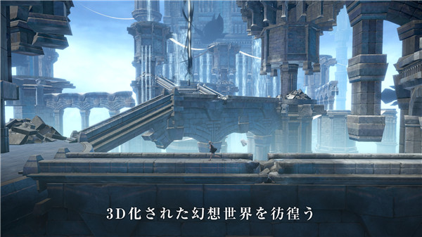 尼尔康乃馨下载最新版