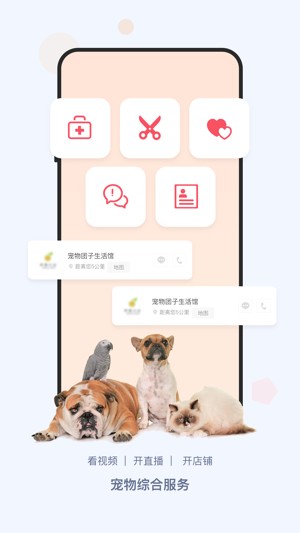 龙平台影视