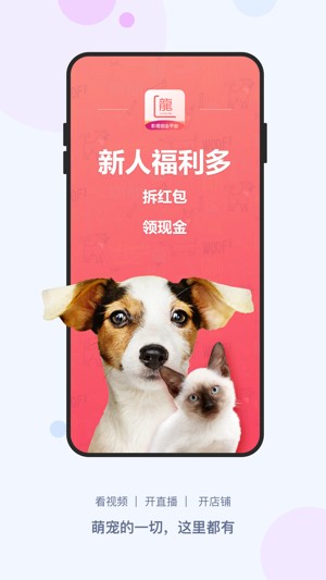 龙平台影视