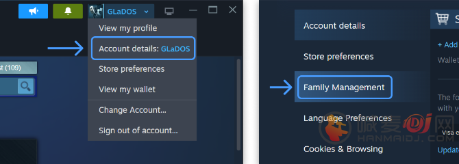 steam