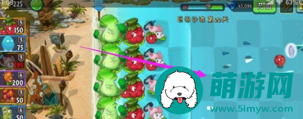 植物大战僵尸