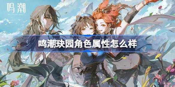 鸣潮玦园角色属性怎么样