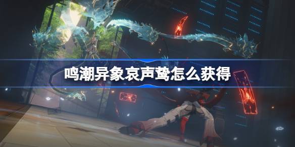 鸣潮