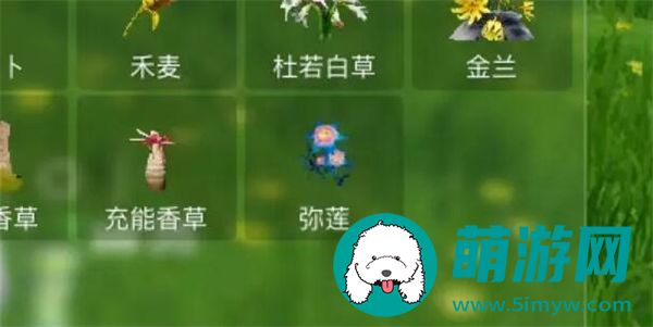 创造吧我们的星球