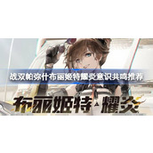 战双帕弥什布丽姬特·耀炎意识共鸣推荐