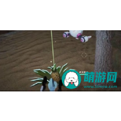 如何轻松制作重启星球奶油菠萝酥