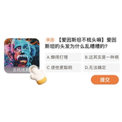 爱因斯坦的头发为什么乱糟糟的？探索答案