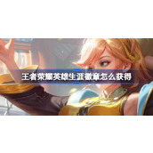 王者荣耀英雄生涯徽章的获得方法