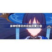 原神忧昙花花蕊位置大全