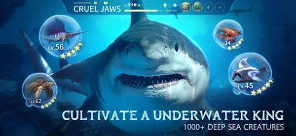 OceanRealm安卓下载