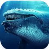 OceanRealm安卓下载