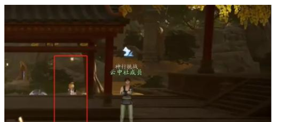 射雕