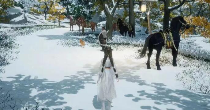 射雕