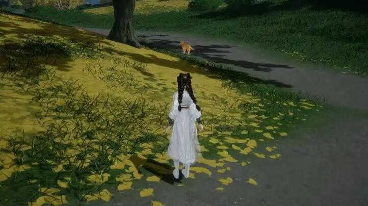 射雕
