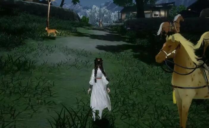 射雕