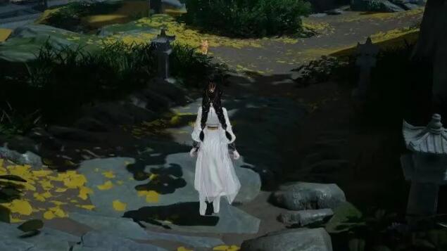射雕