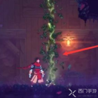 重生细胞