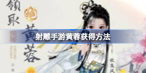 射雕