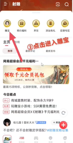 射雕