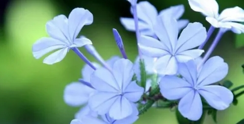 淘宝