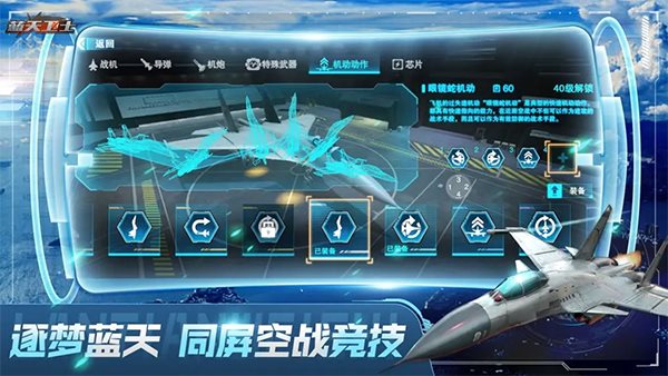 蓝天卫士（游戏安装）