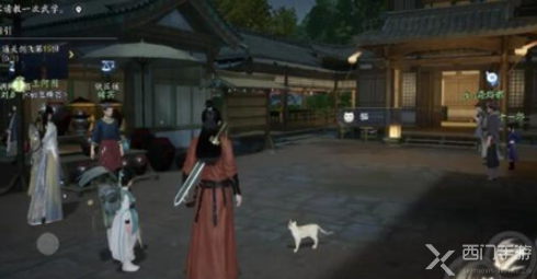 射雕