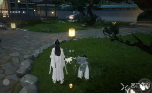 射雕