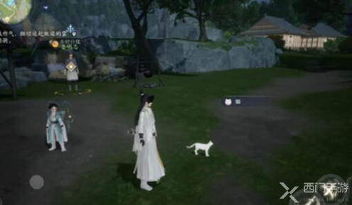 射雕