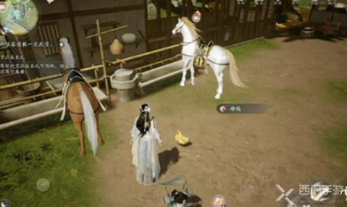 射雕