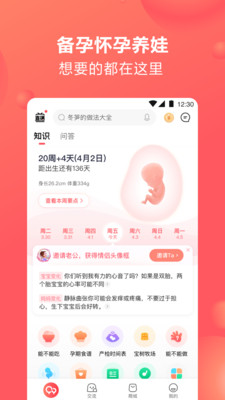 宝宝树孕育