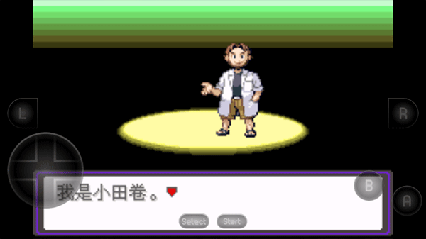 口袋妖怪漆黑的魅影（安装）